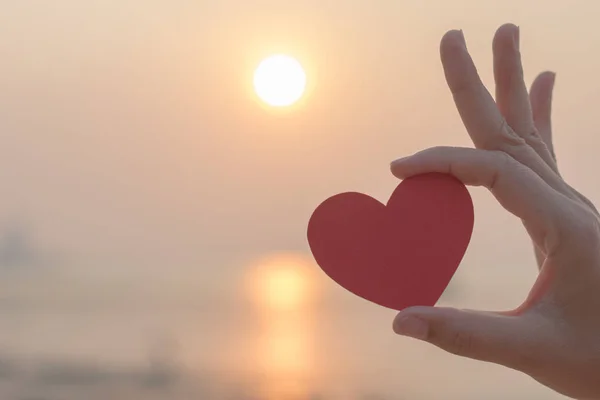 Kumsalda kırmızı kağıt kalp tutan kadın el