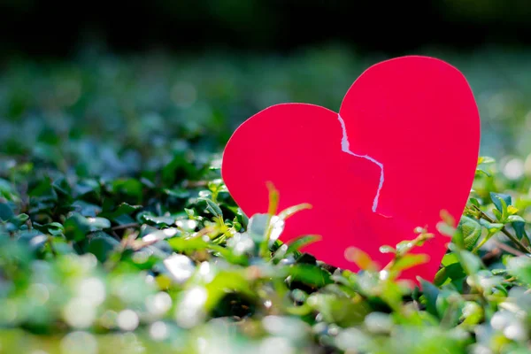 Un corazón roto de papel rojo sobre hierba — Foto de Stock