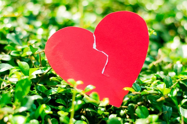 yırtık kırmızı kağıt kalp 