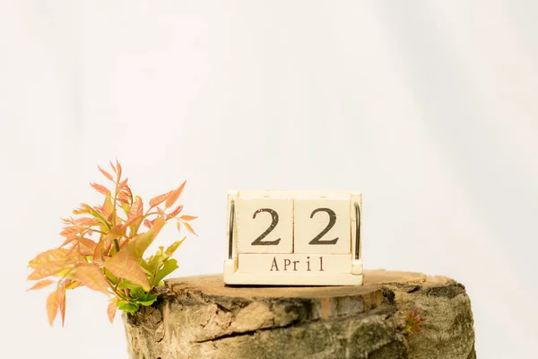 Dünya günü, 22 Nisan çoğu güdük ahşap ahşap kutu