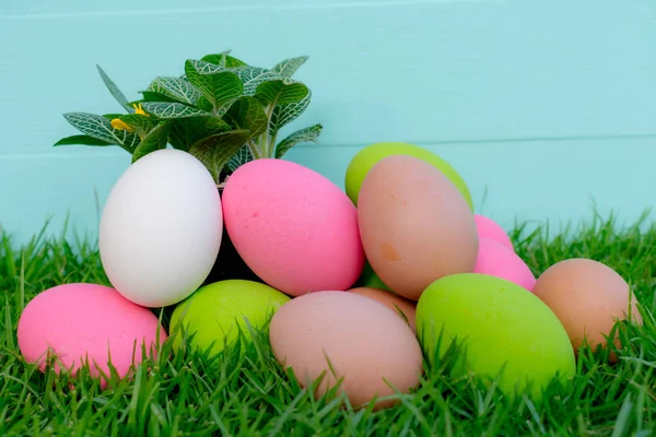 Güneşli günlerde yeşil çimenlerin üzerinde Paskalya yortusu yumurta