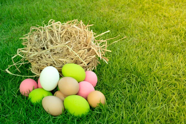 Güneşli günlerde yeşil çimenlerin üzerinde Paskalya yortusu yumurta