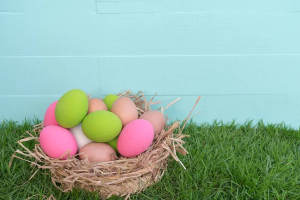 Coloeful Paskalya yumurta yuvada spa pastel renk zemin üzerine