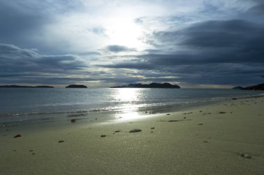 tropikal plaj manzarası