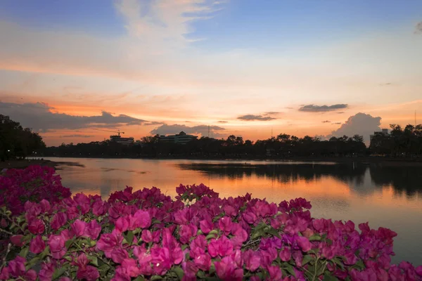 城市的夜晚. — 图库照片