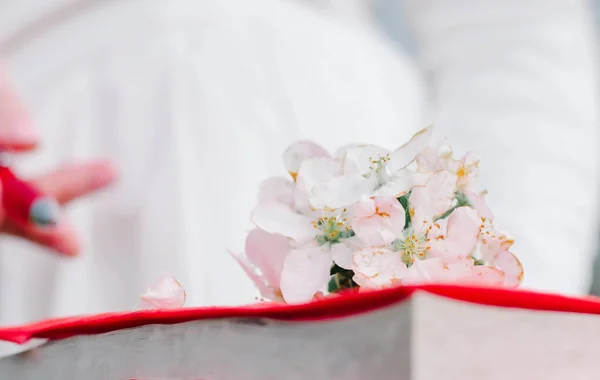 girls holds books of red color in a hand on a book of flowers flowering spring foliage white red