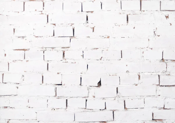 doku, arka plan, tuğla duvar,