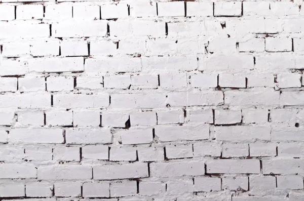 doku, arka plan, tuğla duvar,