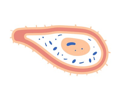 Bakterias hücre vektörü çizim biçimi