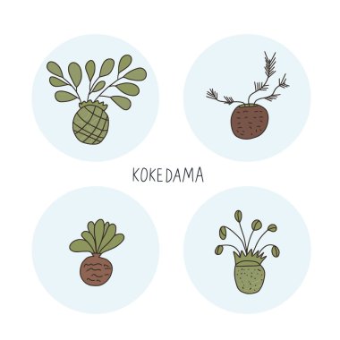 Kokedama hazır. Doodle vektör asya bitki koleksiyonu