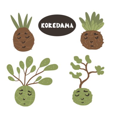 Kokedama hazır. Doodle vektör asya bitki koleksiyonu