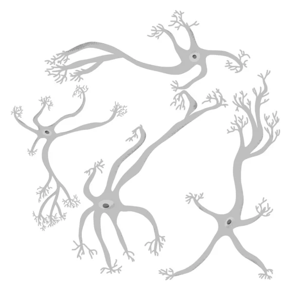 Neuron cells. Vector simple design illustartion. — Stock Vector