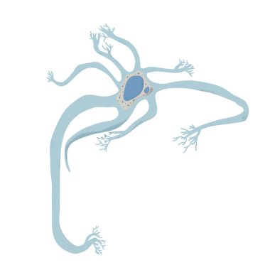Nöron hücreleri. Vektör basit tasarım illustartion.