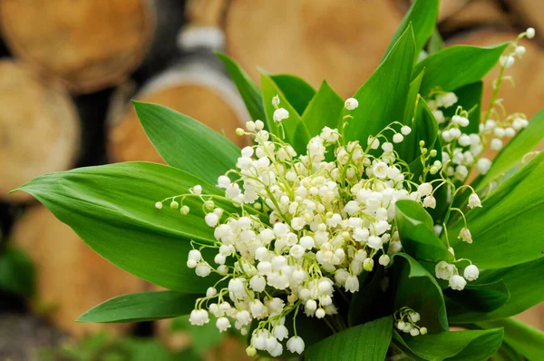 Vadinin zambaklarından bir buket