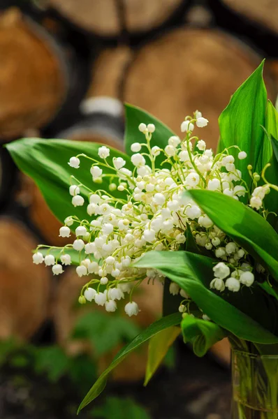 Vadinin zambaklarından bir buket