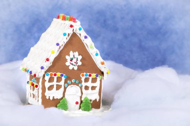 Yılbaşı kurabiye evi