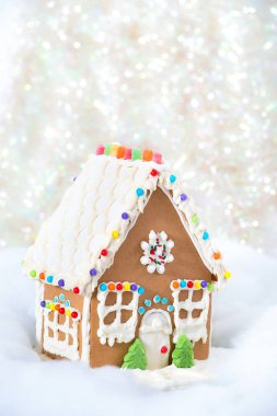 Yılbaşı kurabiye evi