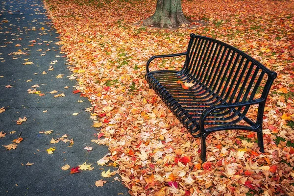 Leere Bank umgeben von Herbstblättern — Stockfoto