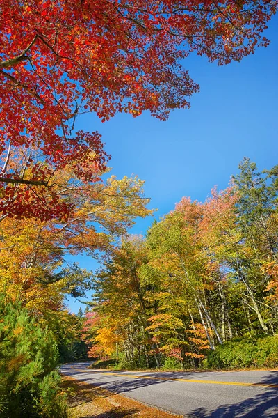 Podzimní listí a venkovské silnici — Stock fotografie