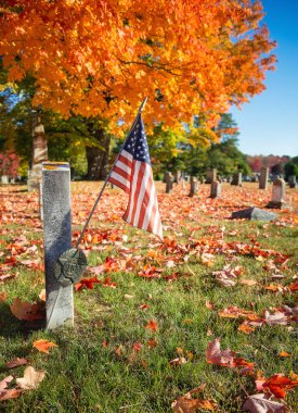 Sonbahar mezarlığı Amerikan kıdemli bayrağı