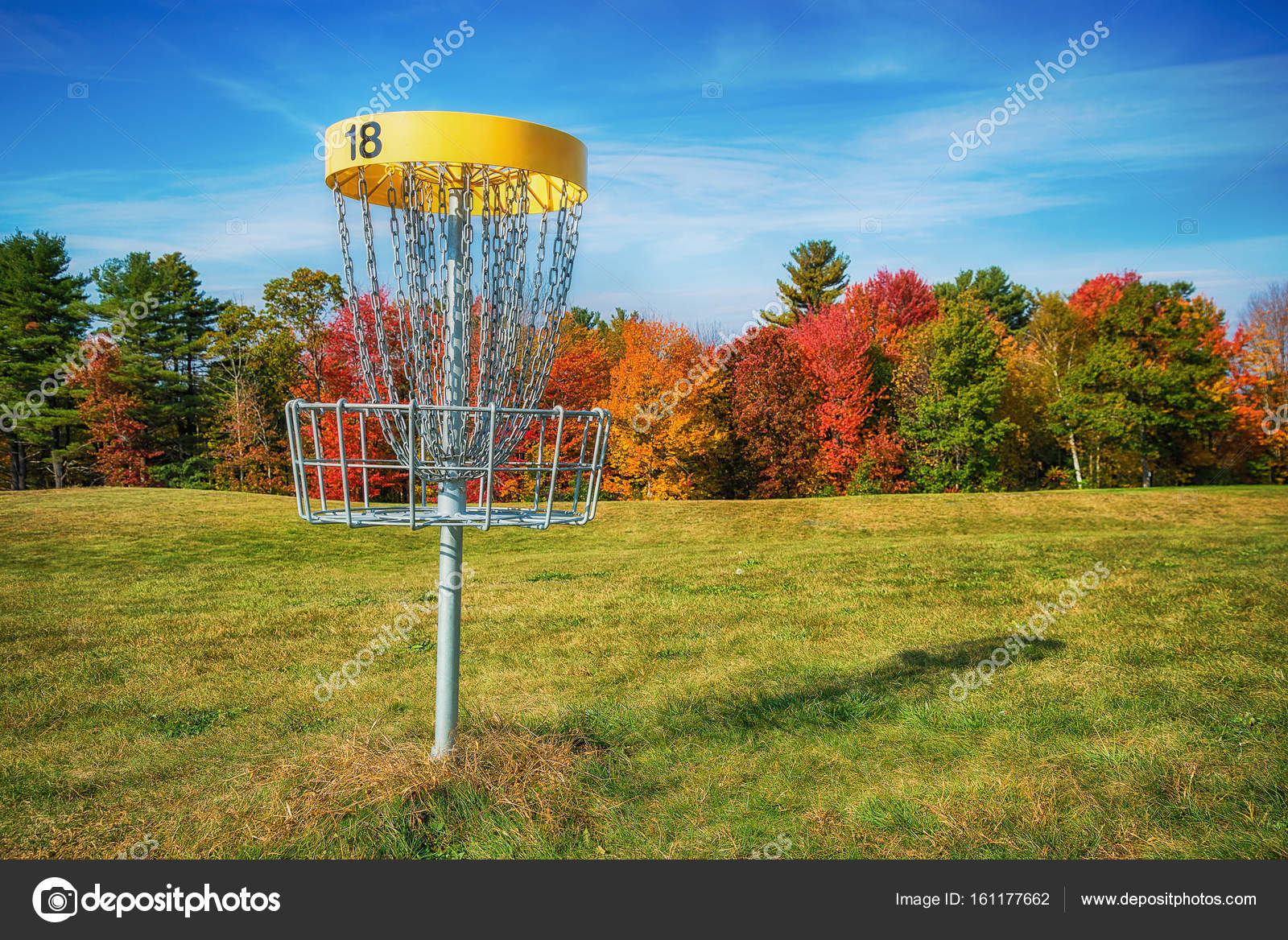Disc Golf Photography