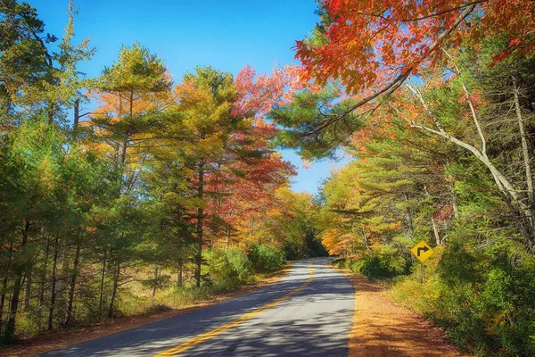 Estrada sinuosa através de árvores de outono na Nova Inglaterra — Fotografia de Stock