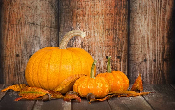 Pumpkin Pie cukru a mini dýně proti rustikální dřevěné pozadí — Stock fotografie