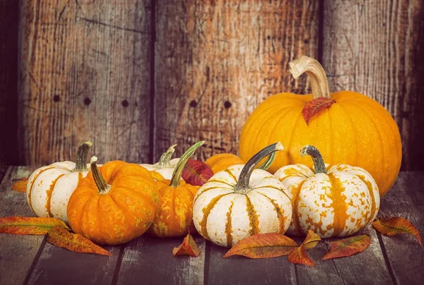 Kabaklar ve rustik ahşap arka plan karşı sonbahar yaprakları