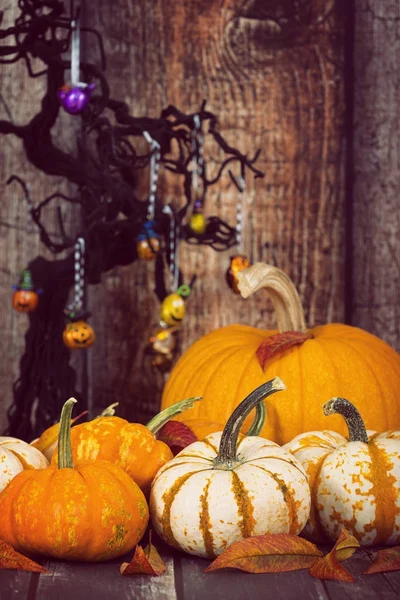 Expositor de calabaza con hojas de otoño contra rústico Halloween espalda —  Fotos de Stock