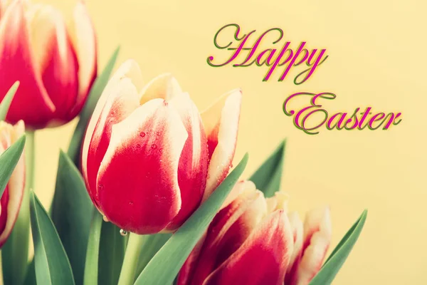 Close-up van rode en gele tulpen met Happy Easter tekst — Stockfoto