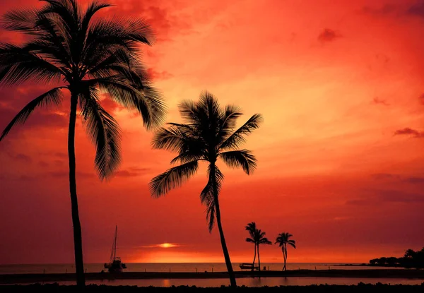 Hawaiianischer Sonnenuntergang auf großer Insel — Stockfoto