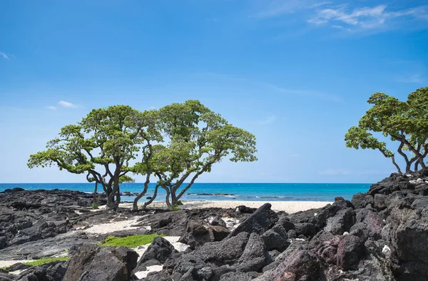 Тропический пляж с лавовыми скалами против голубого неба — стоковое фото