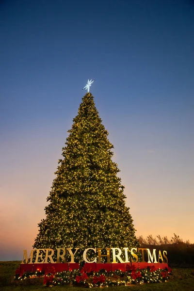 Aydınlatılmış yıldızlı Noel ağacı — Stok fotoğraf