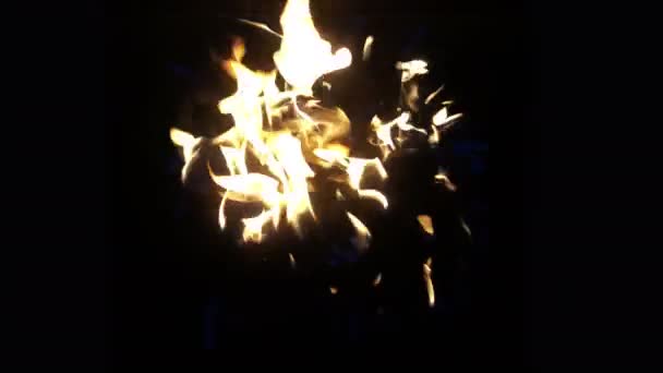 Спалювання Вогню Чорному Тлі — стокове відео
