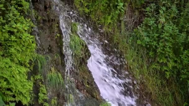 Vattenfall Och Grön Natur — Stockvideo