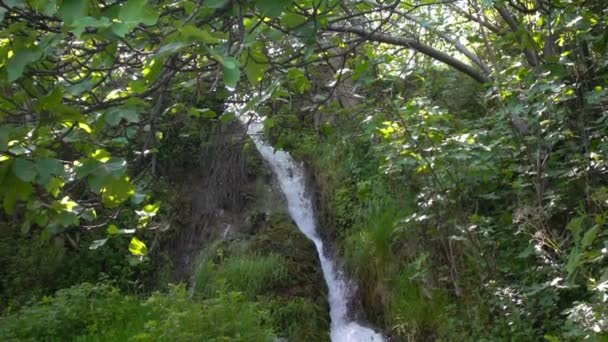 Wodospad Zielony Natura — Wideo stockowe