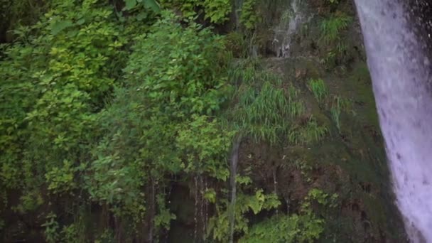 Cachoeira Natureza Verde — Vídeo de Stock