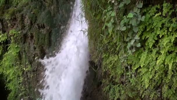 滝と緑自然 — ストック動画