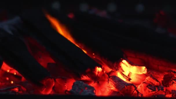 Wooden Coal Fire Burning — Stock Video