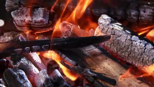 Queima Fogo Madeira Carvão — Vídeo de Stock