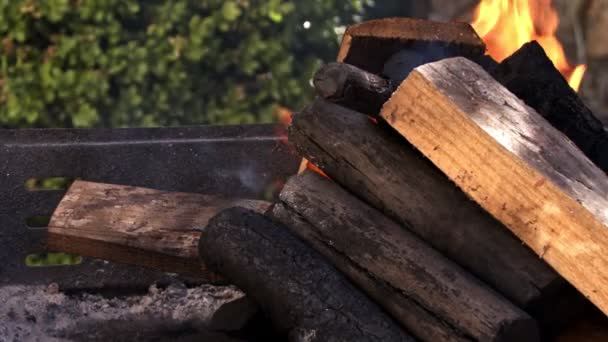 Деревина Згоряння Вугілля — стокове відео