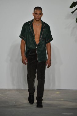 Palmiers Du Mal Şov