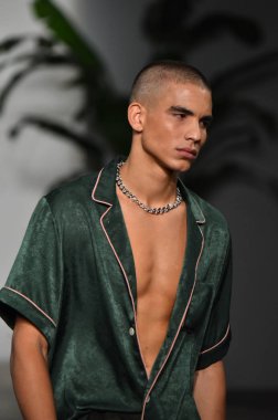 Palmiers Du Mal Şov