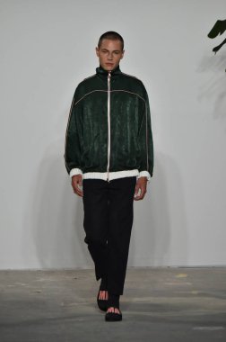 Palmiers Du Mal Şov