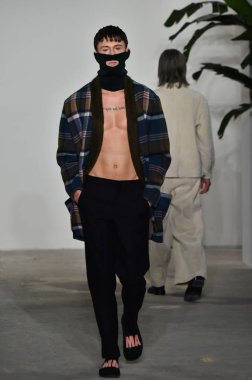 Palmiers Du Mal Şov