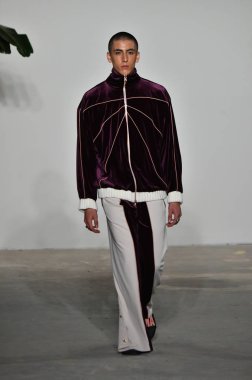 Palmiers Du Mal Şov