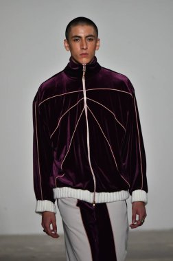 Palmiers Du Mal Şov