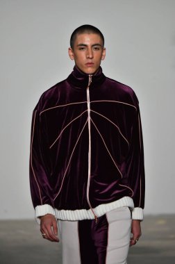 Palmiers Du Mal Şov