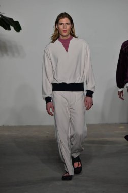 Palmiers Du Mal Şov