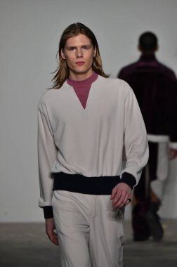 Palmiers Du Mal Şov